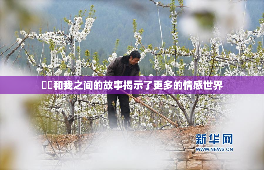 妺妺和我之间的故事揭示了更多的情感世界