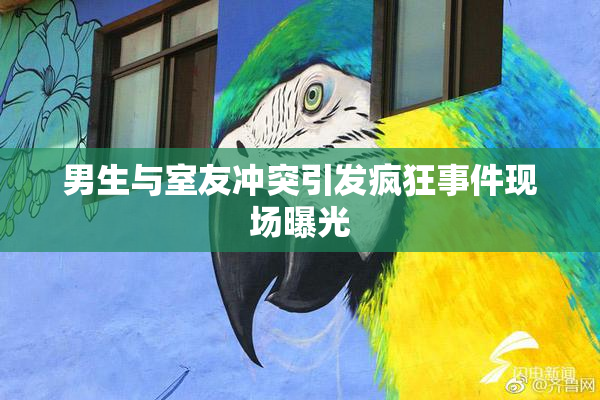 男生与室友冲突引发疯狂事件现场曝光