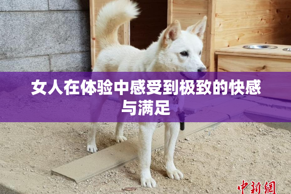 女人在体验中感受到极致的快感与满足