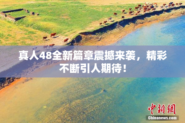 真人48全新篇章震撼来袭，精彩不断引人期待！