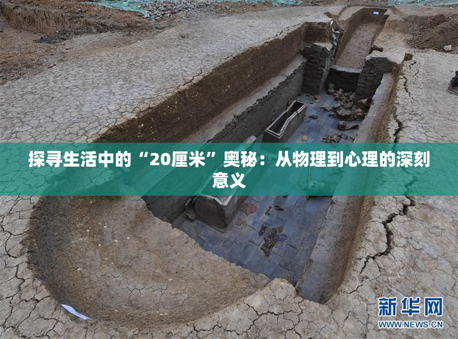 探寻生活中的“20厘米”奥秘：从物理到心理的深刻意义