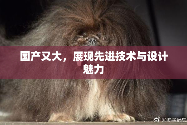 国产又大，展现先进技术与设计魅力