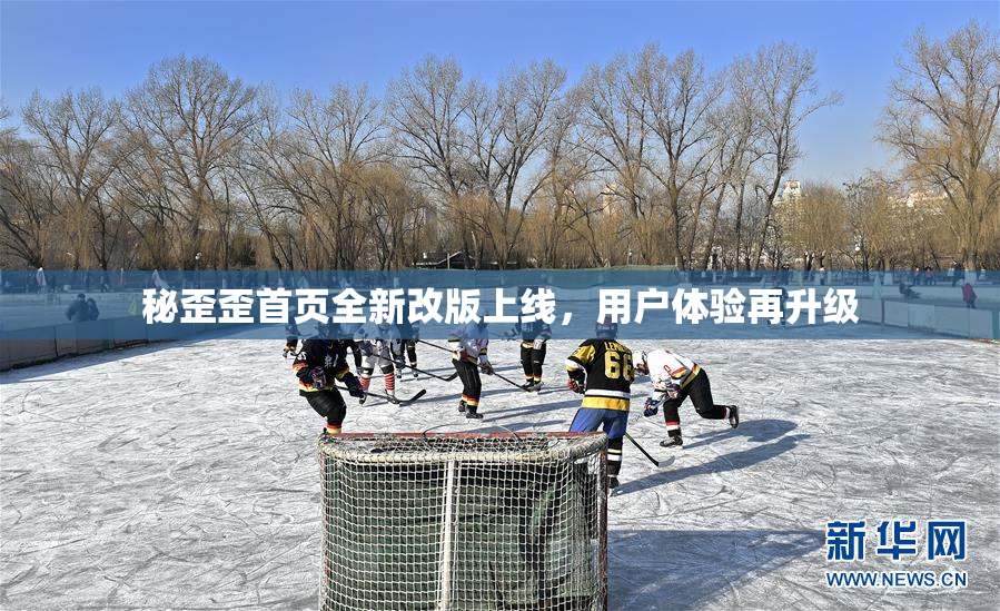秘歪歪首页全新改版上线，用户体验再升级