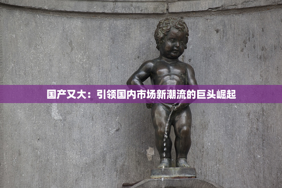 国产又大：引领国内市场新潮流的巨头崛起