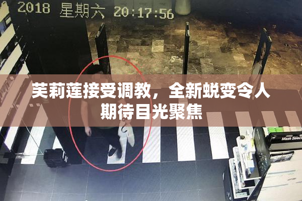 芙莉莲接受调教，全新蜕变令人期待目光聚焦