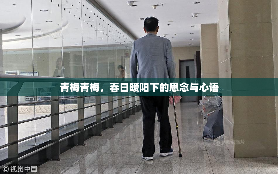 青梅青梅，春日暖阳下的思念与心语