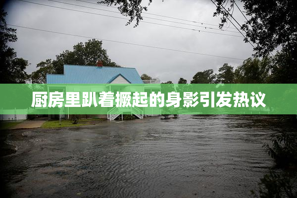 厨房里趴着撅起的身影引发热议