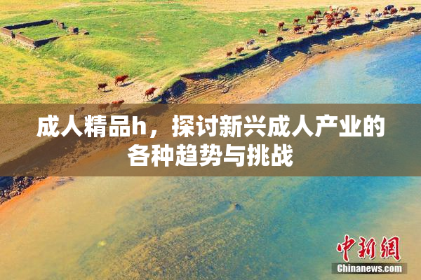 成人精品h，探讨新兴成人产业的各种趋势与挑战