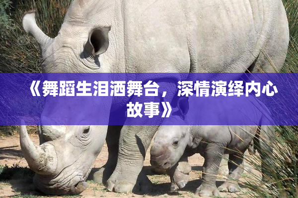 《舞蹈生泪洒舞台，深情演绎内心故事》