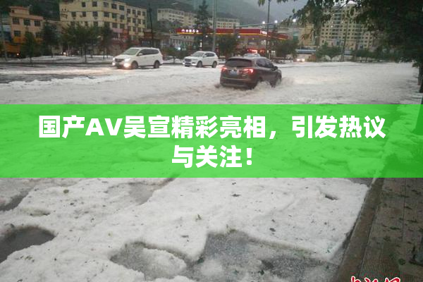 国产AV吴宣精彩亮相，引发热议与关注！