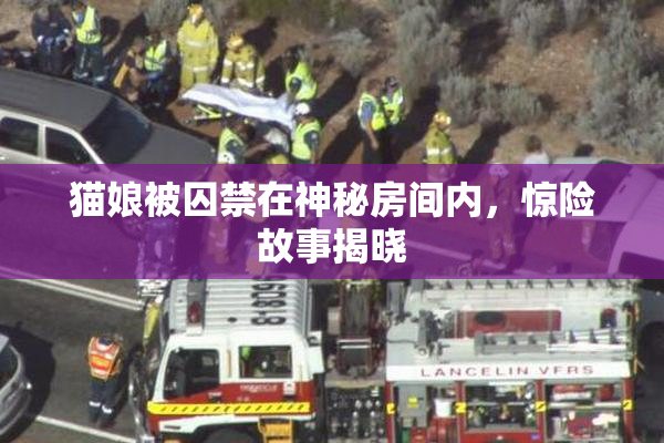 猫娘被囚禁在神秘房间内，惊险故事揭晓