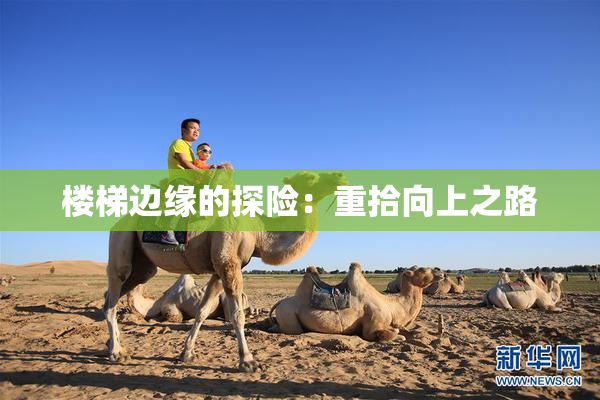 楼梯边缘的探险：重拾向上之路