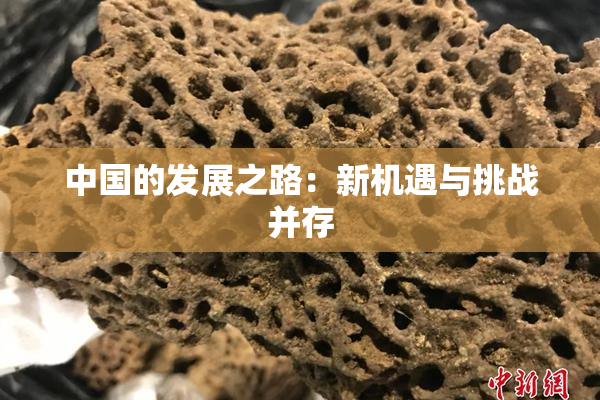 中国的发展之路：新机遇与挑战并存