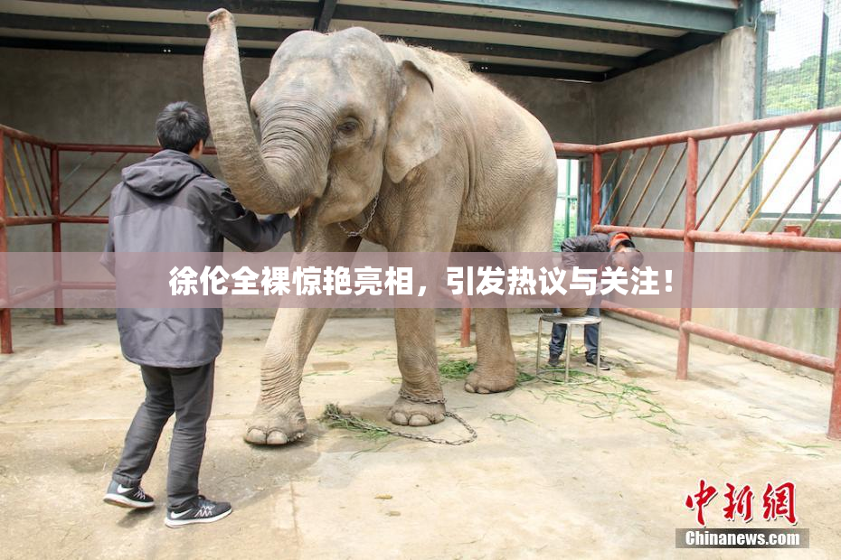 徐伦全裸惊艳亮相，引发热议与关注！