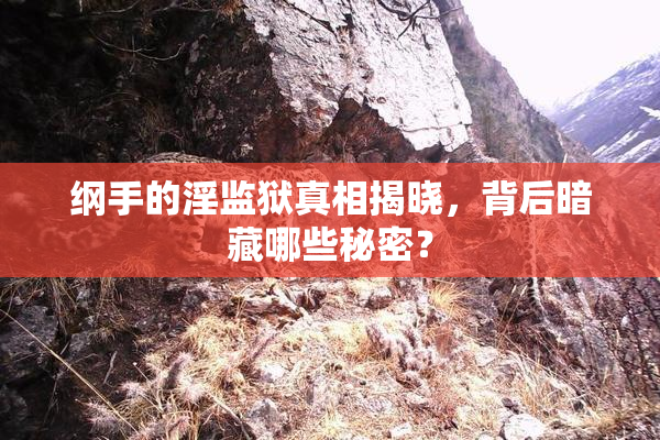 纲手的淫监狱真相揭晓，背后暗藏哪些秘密？