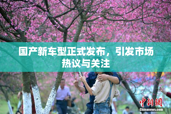 国产新车型正式发布，引发市场热议与关注