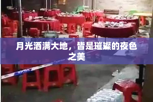 月光洒满大地，皆是璀璨的夜色之美