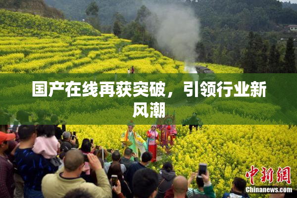 国产在线再获突破，引领行业新风潮