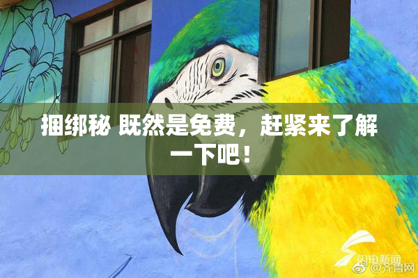 捆绑秘 既然是免费，赶紧来了解一下吧！