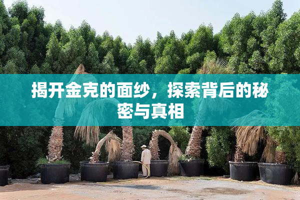 揭开金克的面纱，探索背后的秘密与真相