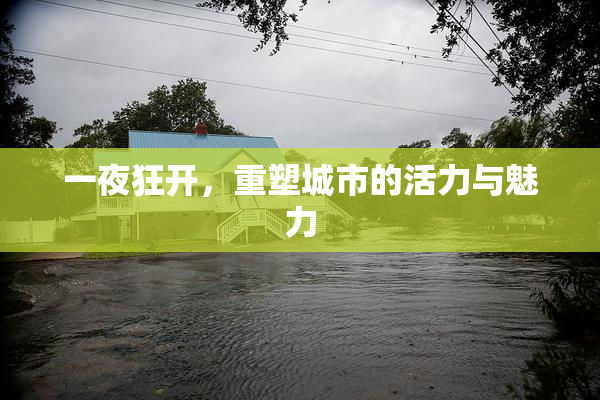 一夜狂开，重塑城市的活力与魅力