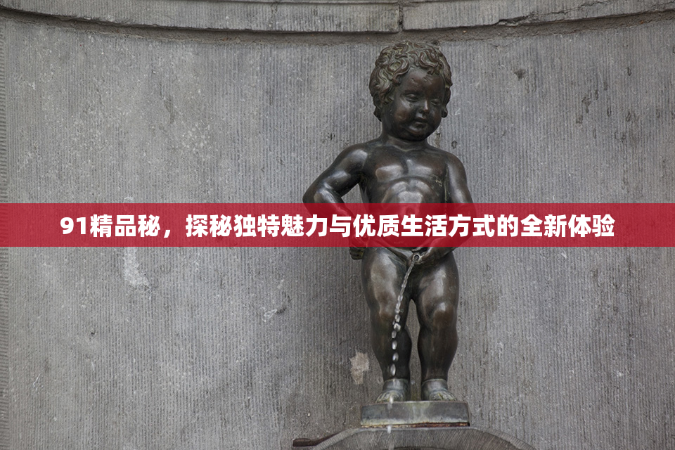 91精品秘，探秘独特魅力与优质生活方式的全新体验
