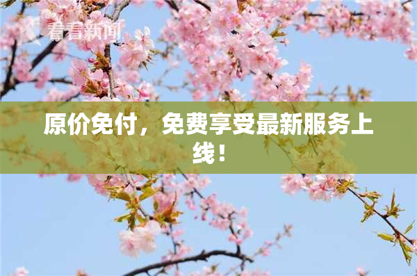 原价免付，免费享受最新服务上线！