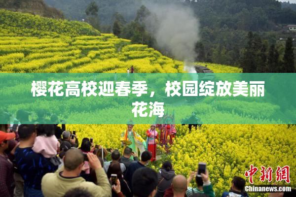 樱花高校迎春季，校园绽放美丽花海