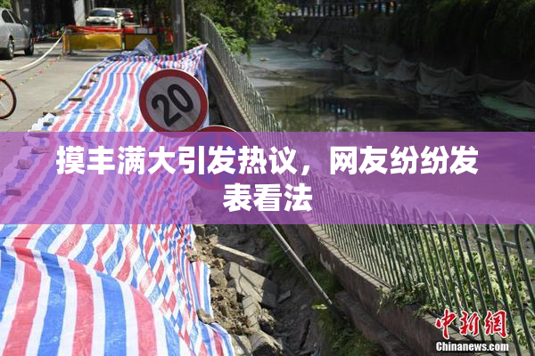 摸丰满大引发热议，网友纷纷发表看法