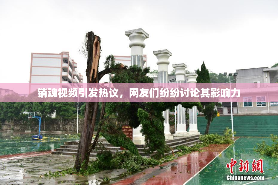 销魂视频引发热议，网友们纷纷讨论其影响力