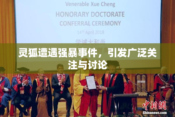 灵狐遭遇强暴事件，引发广泛关注与讨论