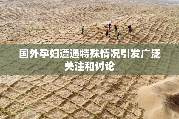 国外孕妇遭遇特殊情况引发广泛关注和讨论