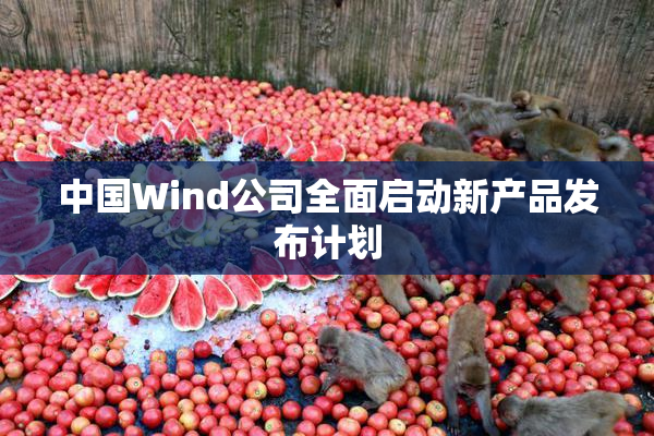 中国Wind公司全面启动新产品发布计划