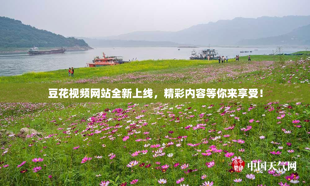 豆花视频网站全新上线，精彩内容等你来享受！