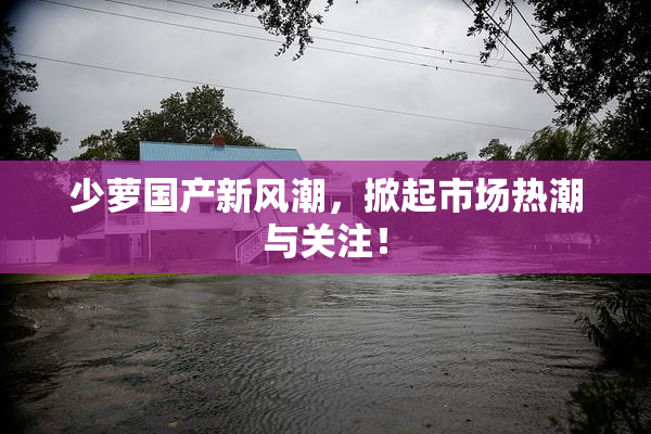 少萝国产新风潮，掀起市场热潮与关注！
