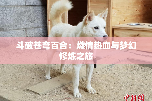 斗破苍穹百合：燃情热血与梦幻修炼之旅