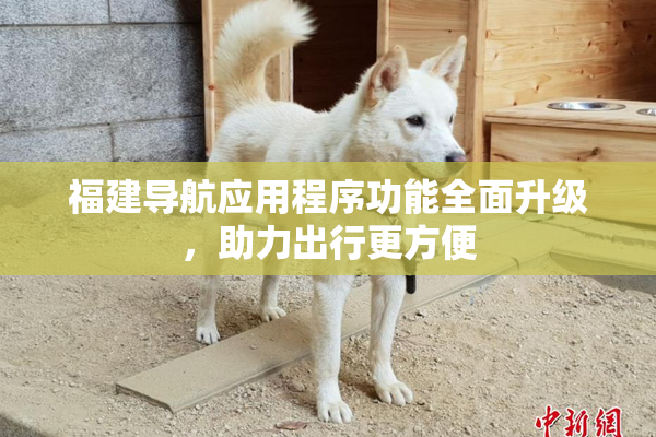 福建导航应用程序功能全面升级，助力出行更方便