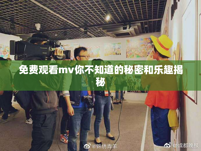 免费观看mv你不知道的秘密和乐趣揭秘