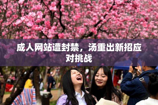 成人网站遭封禁，汤重出新招应对挑战