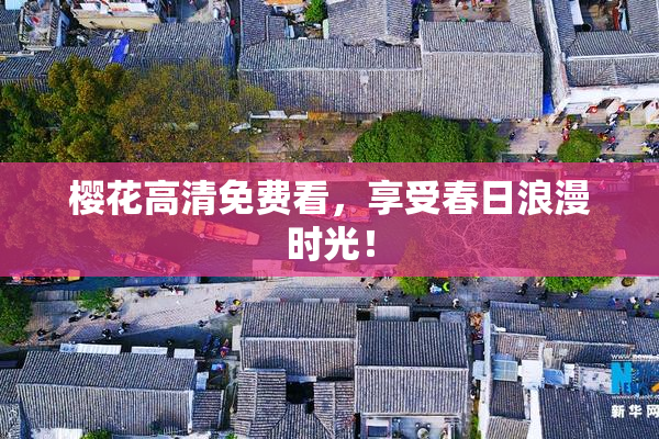 樱花高清免费看，享受春日浪漫时光！