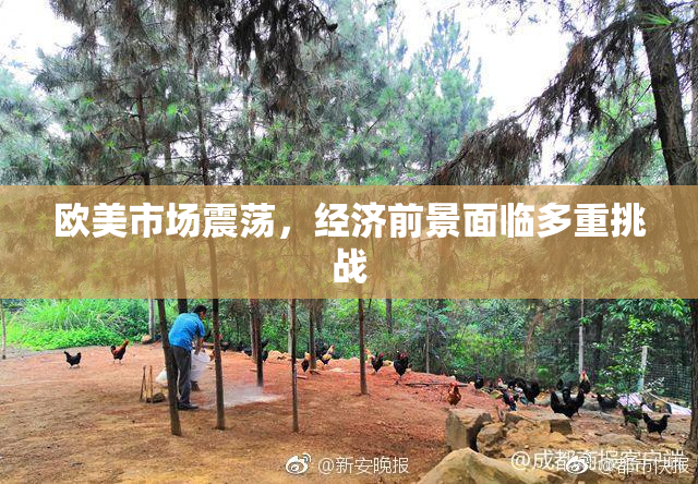 欧美市场震荡，经济前景面临多重挑战