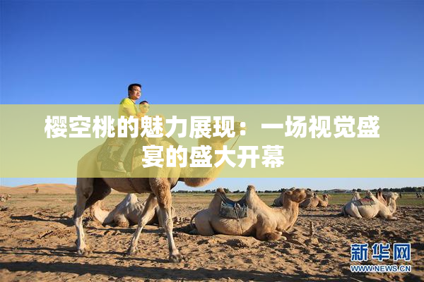 樱空桃的魅力展现：一场视觉盛宴的盛大开幕