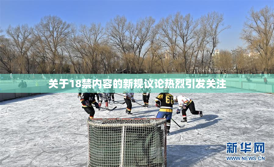 关于18禁内容的新规议论热烈引发关注