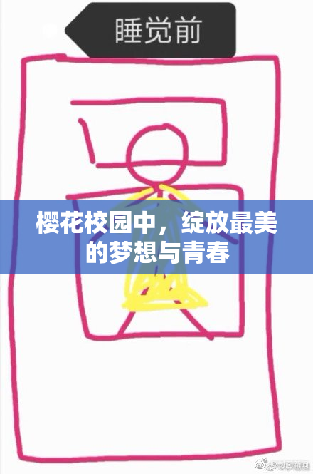 樱花校园中，绽放最美的梦想与青春