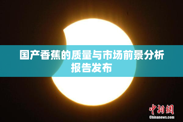 国产香蕉的质量与市场前景分析报告发布