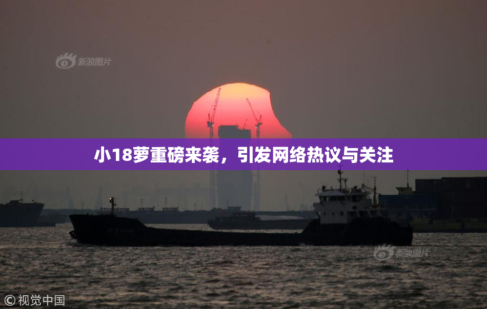 小18萝重磅来袭，引发网络热议与关注