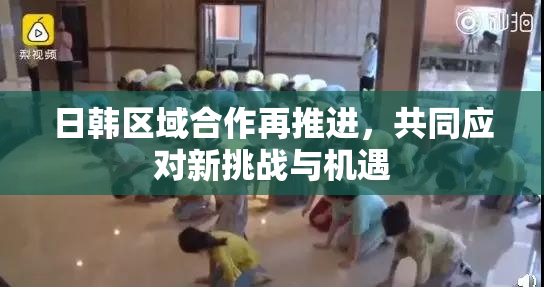 日韩区域合作再推进，共同应对新挑战与机遇