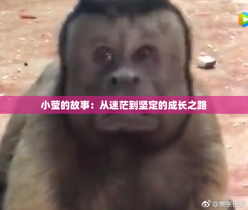 小莹的故事：从迷茫到坚定的成长之路