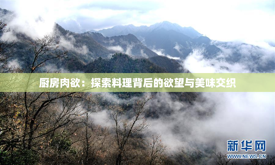 厨房肉欲：探索料理背后的欲望与美味交织