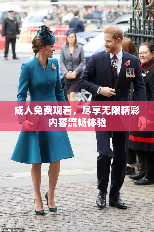 成人免费观看，尽享无限精彩内容流畅体验
